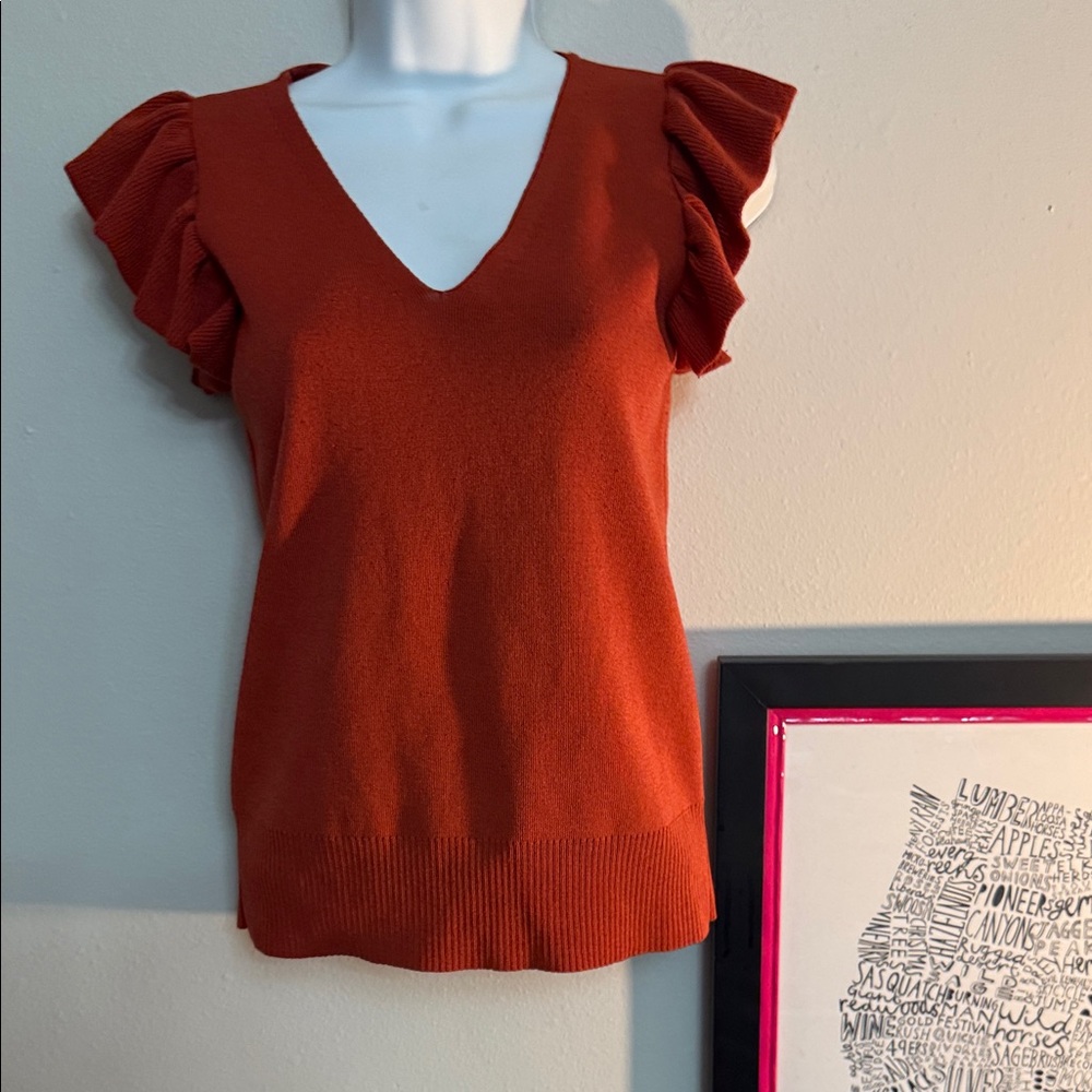 Ann Taylor Factory Rust Ruffle Sleeve Top EUC - Picture 1 of 3